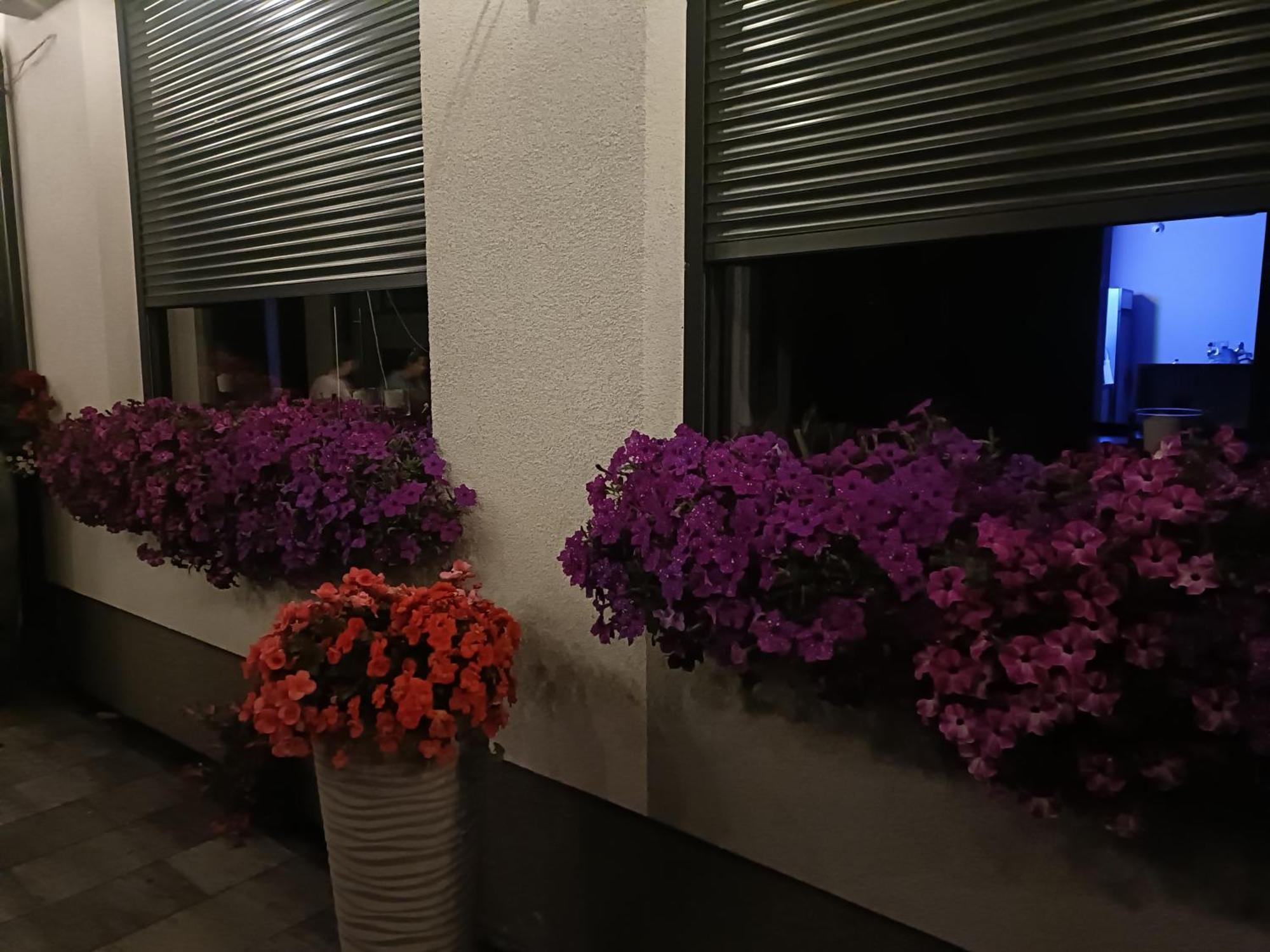 Lesne Niebo Hotel ลุบเนียวิตแซ ภายนอก รูปภาพ